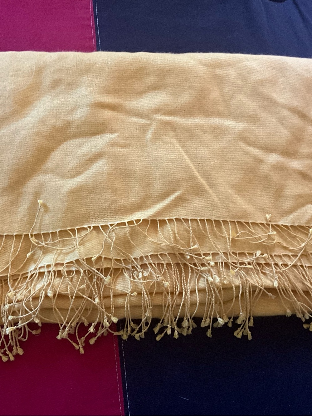 Soft Cream Throw Blanket with Fringe - Unbranded